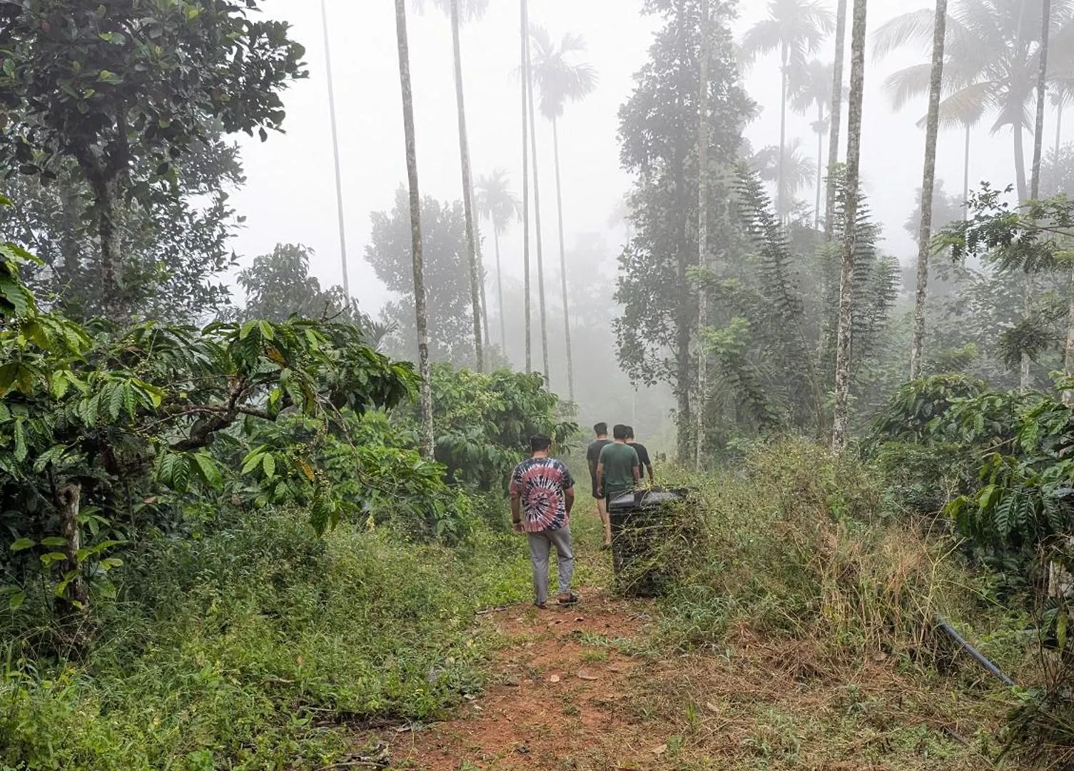 Kaffee Valley - Tent Stay Wayanad 0*,  India